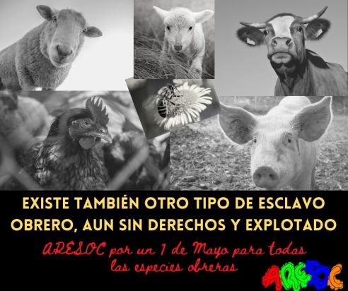 Existe también otro tipo de esclavo obrero, sin derechos y explotable