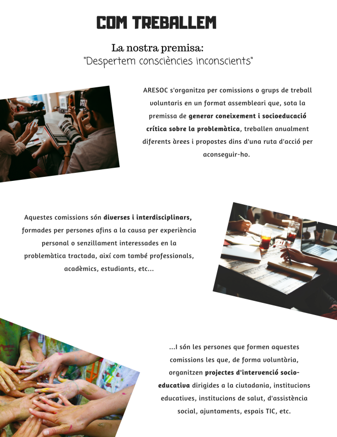 Copy of entrevistaeducación e inteligencia